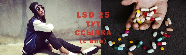 прущие грибы Алексеевка
