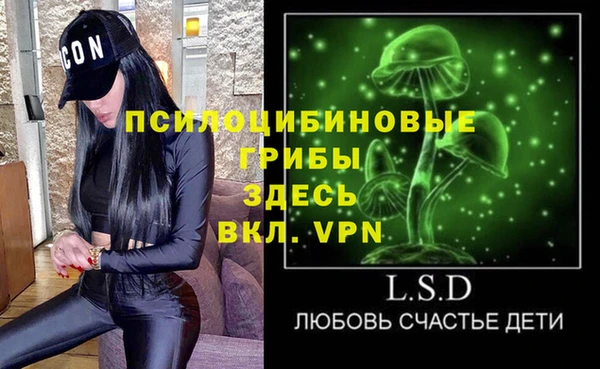 круглые Абаза
