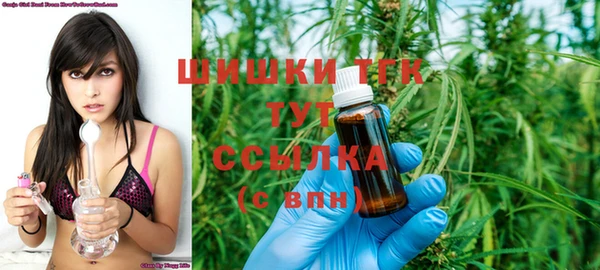 молекула духа Алзамай