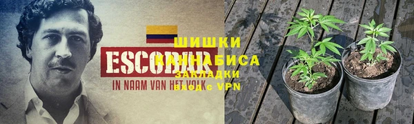 круглые Абаза