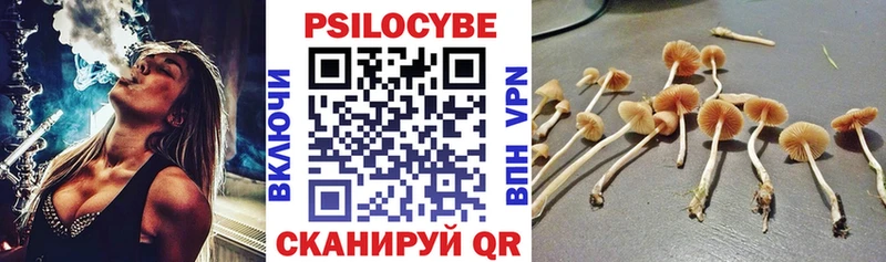 Галлюциногенные грибы GOLDEN TEACHER  Новочеркасск 